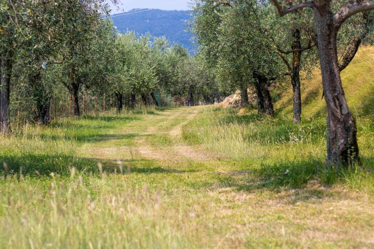 Casa Mandello Apartment Salò Екстериор снимка
